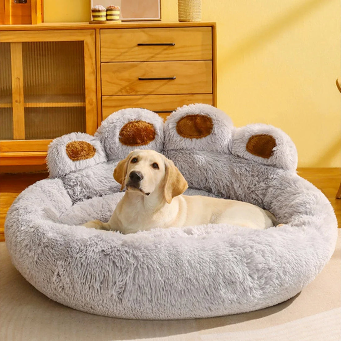 Pets accessories
